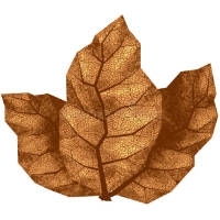 Табачные жидкости